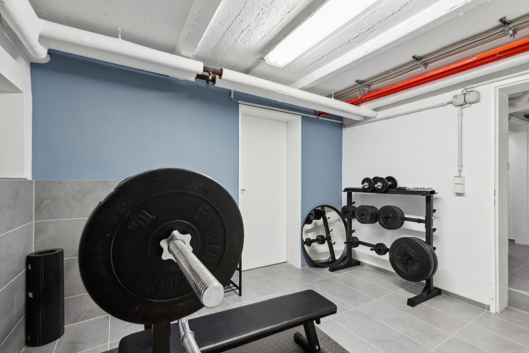 Modern Living - Basf - Ma - Pfalz - 1 Gym 2 Working Spaces لودويغشافن ام ري المظهر الخارجي الصورة